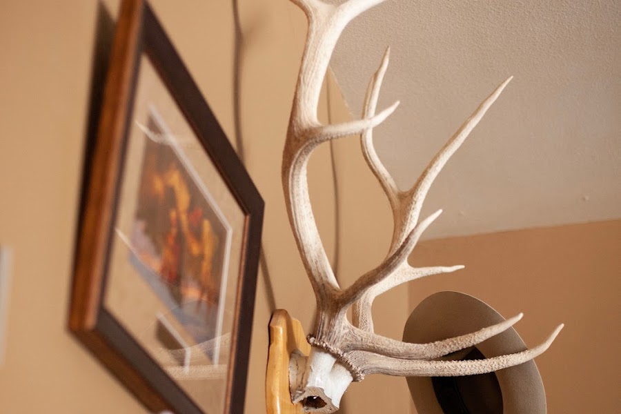 2018 Thomas House photo