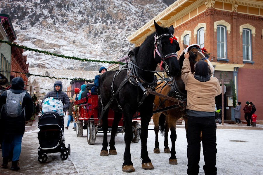 2023 Georgetown Christmas Market photo