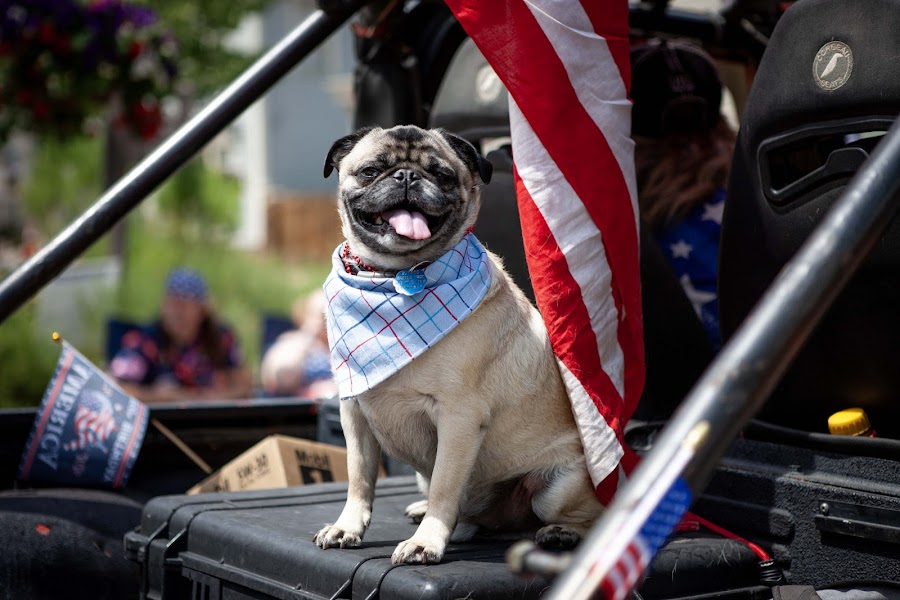 2026 Fourth of July Georgetown photo